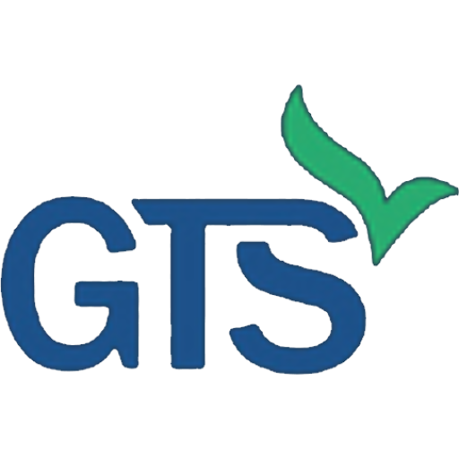 GTS Việt Nam